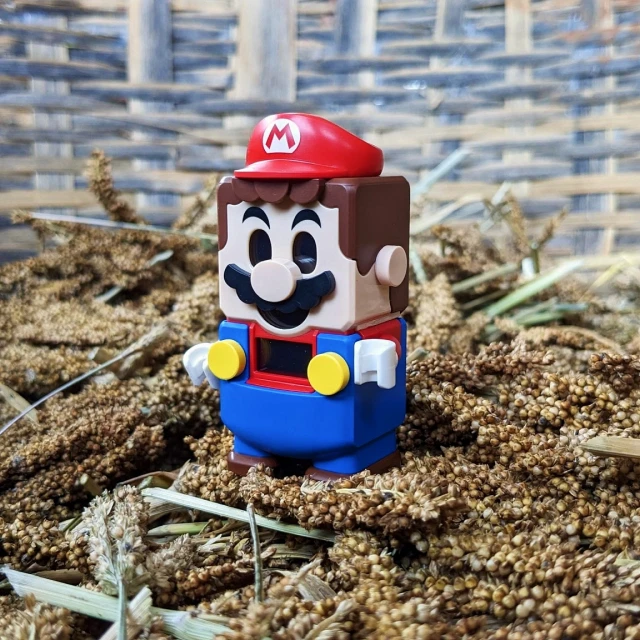 Supermario IRL